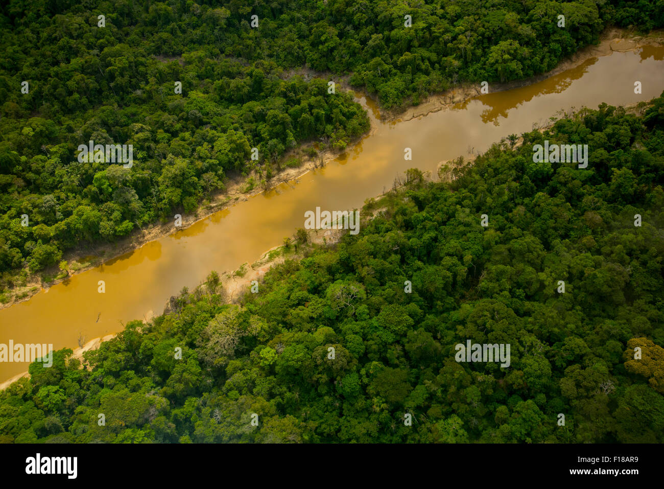 La foresta pluviale amazzonica antenna. Foresta primaria, Yavari Miri River, tra Iquitos, Perù e brasiliano confine Foto Stock
