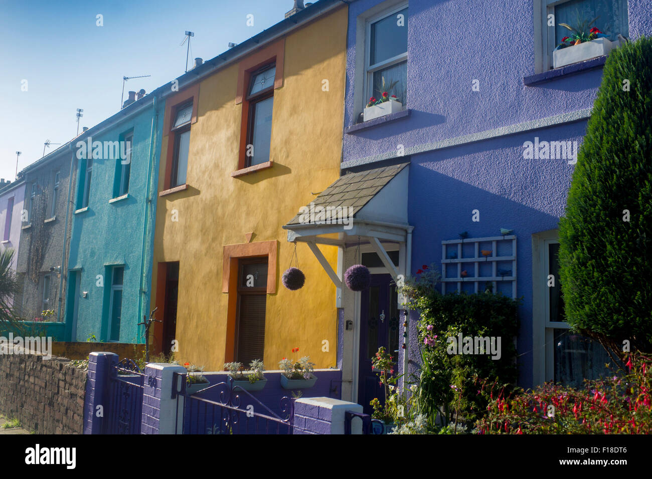 Colorata terrazza di case cottages Roath Cardiff Wales UK Foto Stock