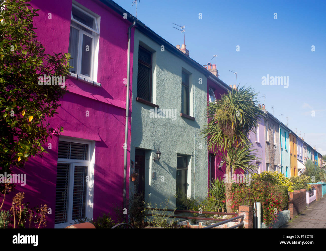 Verniciato colorato terrazza case a schiera cottages Roath Cardiff Wales UK Foto Stock