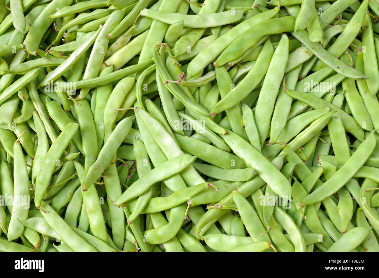 Comune di fagioli verdi per la vendita su un mercato Foto Stock