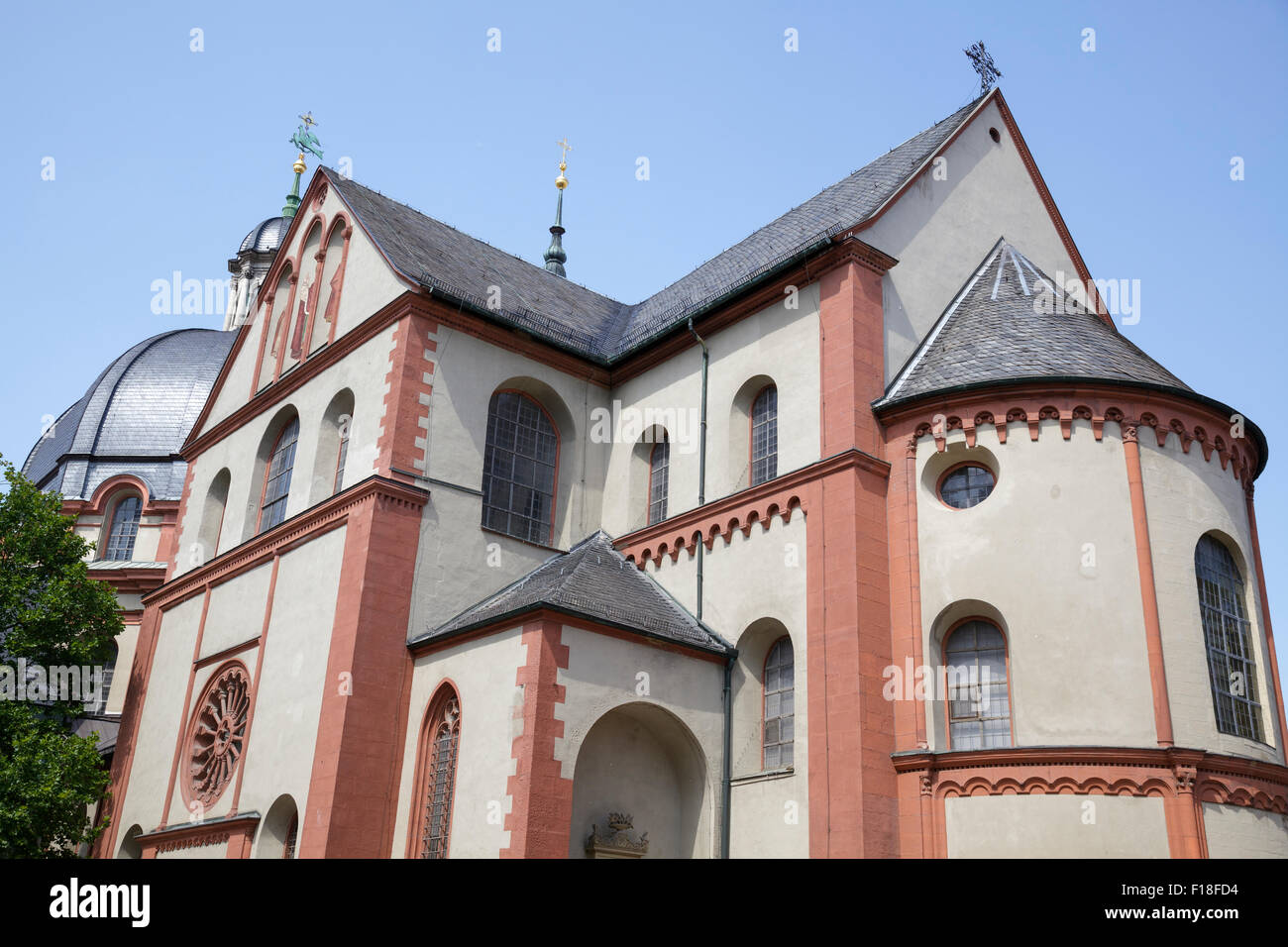 Duomo di San Kilian cattedrale di san Kilian, Würzburg, Baviera, Germania Foto Stock