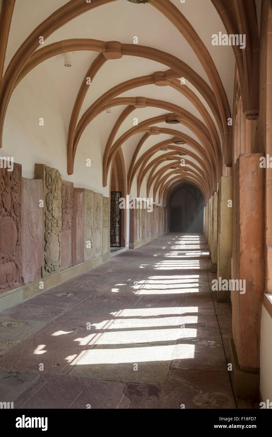 Duomo di San Kilian cattedrale di san Kilian, Würzburg, Baviera, Germania Foto Stock