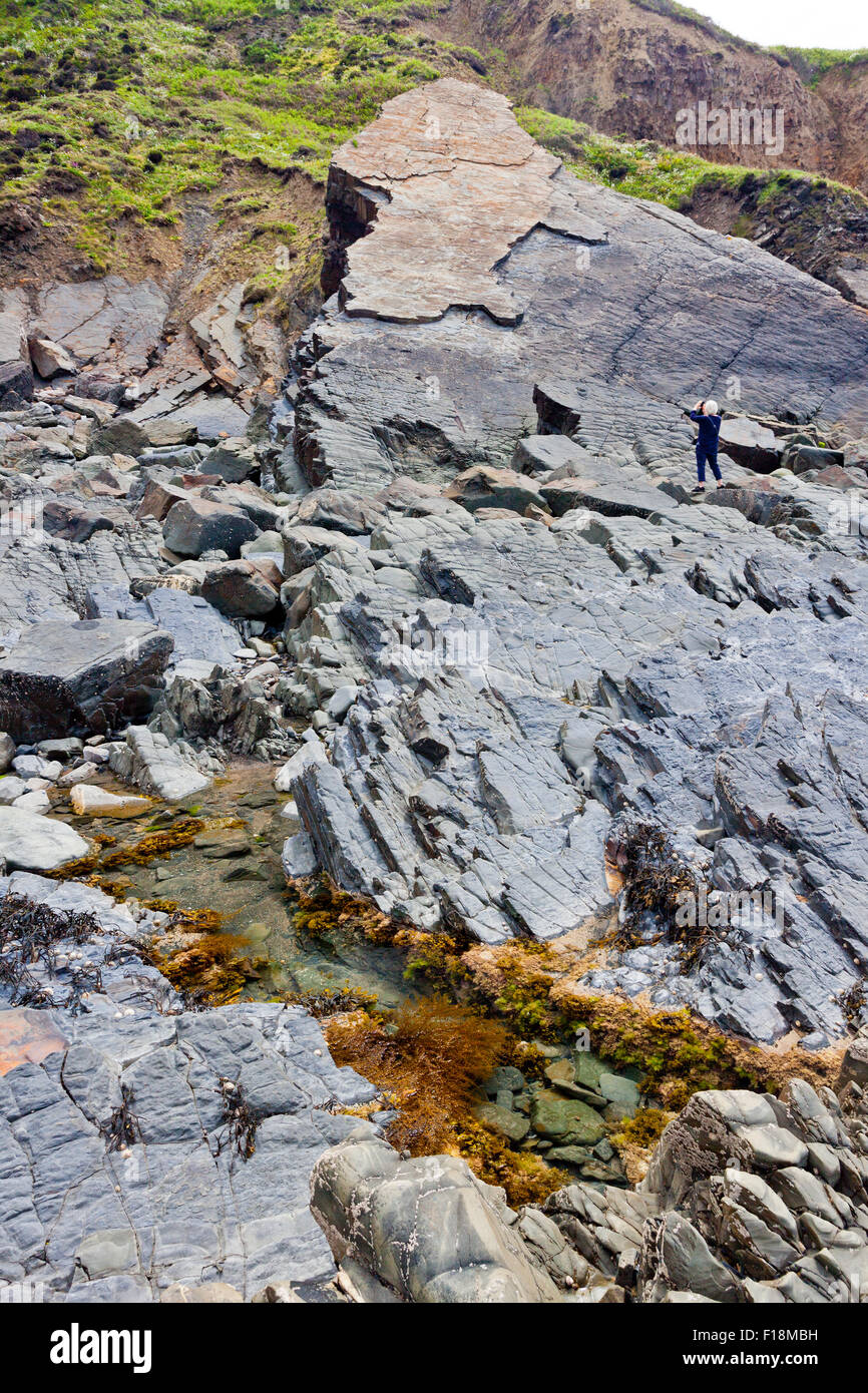 Lastre drammatico di strati di roccia sul foreshore a Hartland Quay, North Devon, Inghilterra, Regno Unito Foto Stock
