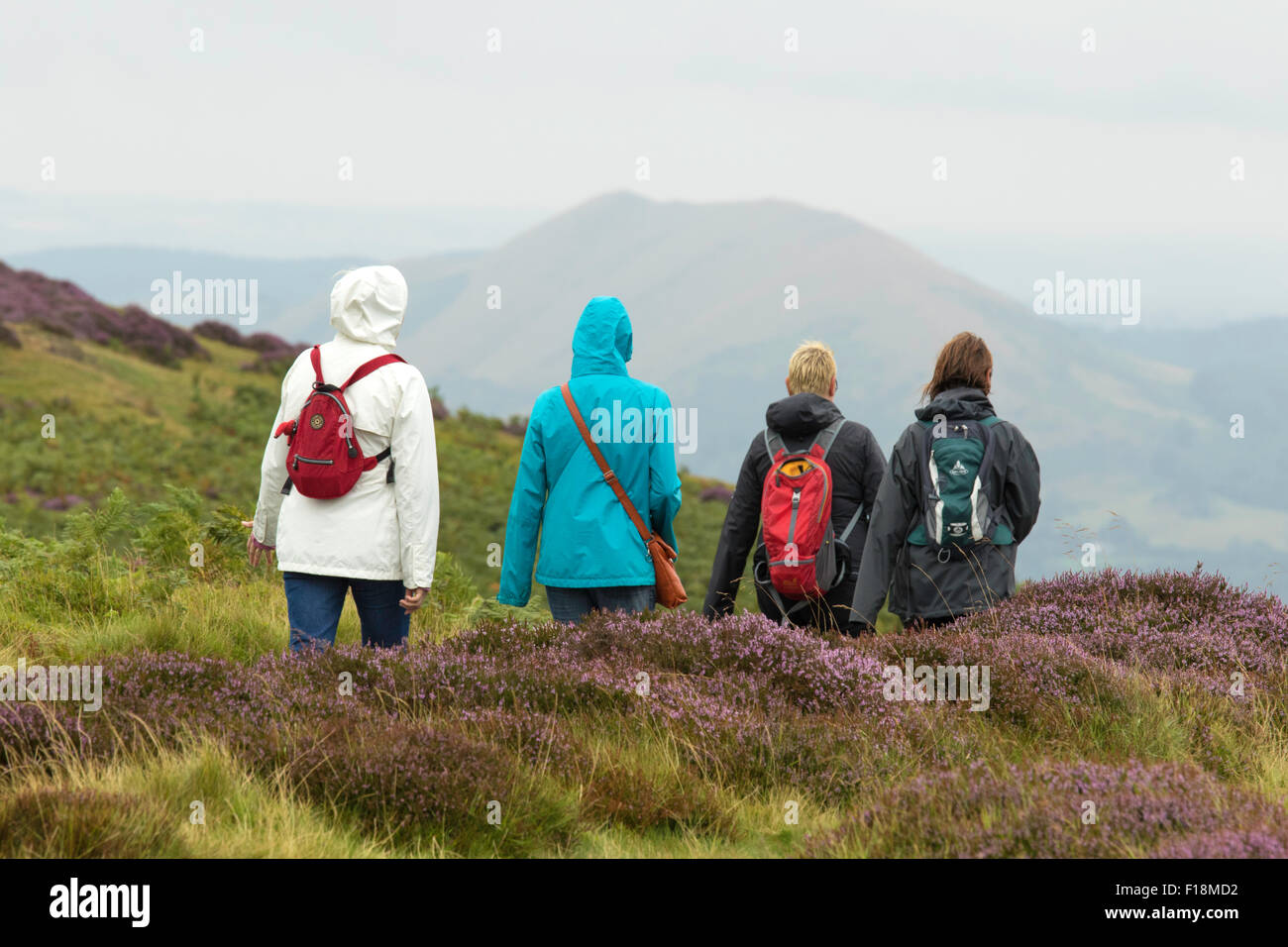 Un gruppo di donne a piedi sotto la pioggia sulla lunga Mynd Shropshire, Inghilterra, Regno Unito Foto Stock