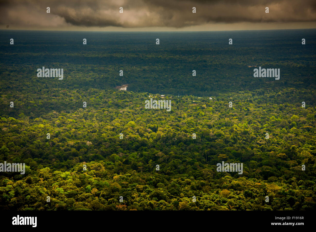 Antenna della foresta pluviale, foresta secondaria, circondato da foresta primaria, che mostra a basso impatto a lungo termine dell'agricoltura tradizionale Foto Stock