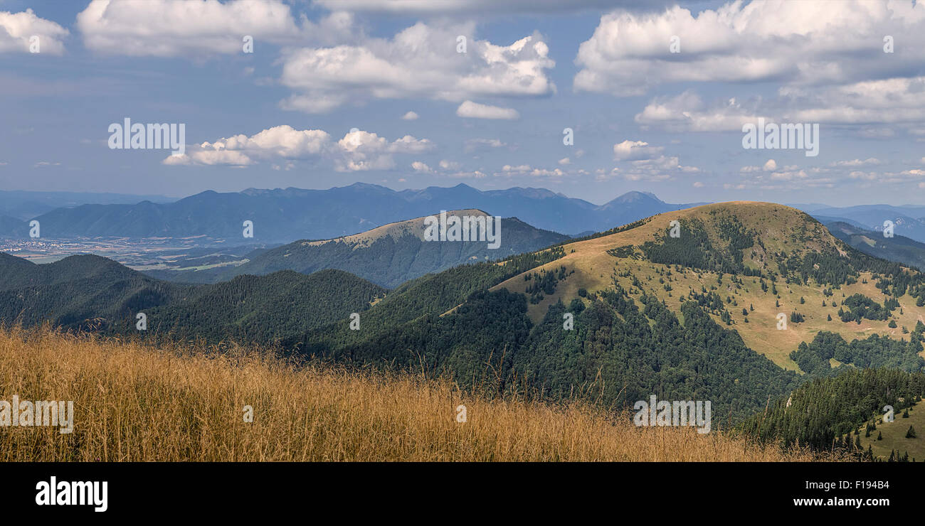 Panorama delle montagne slovacche in estate, Mala Fatra e Velka Fatra. Foto Stock