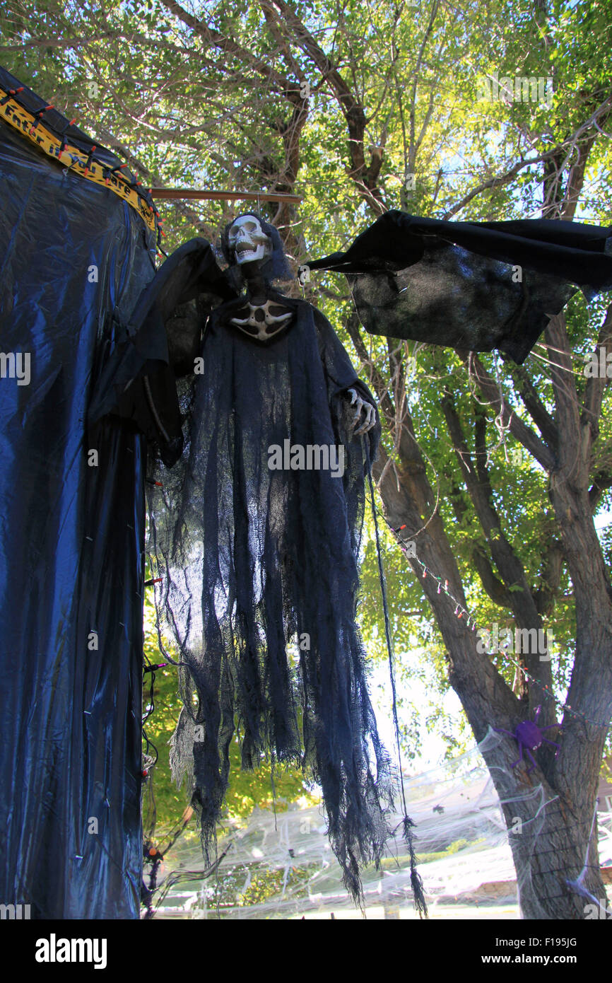 Un grande uccello Halloween-come creatura con uno scheletro di testa e di coda, piume pende dal ramo di un albero Foto Stock