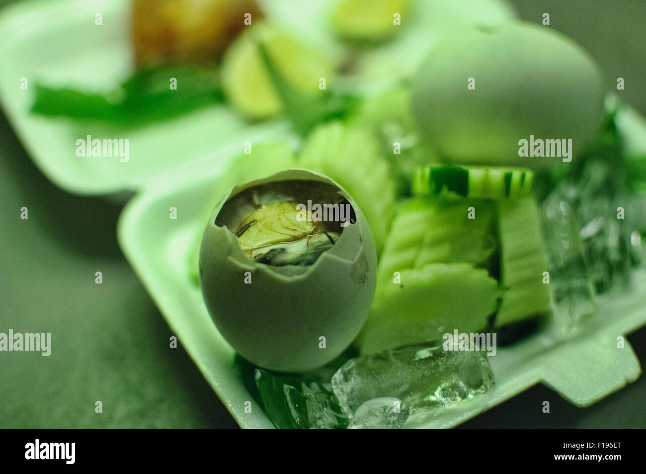 Uovo anatroccolo, uovo fecondato Foto Stock