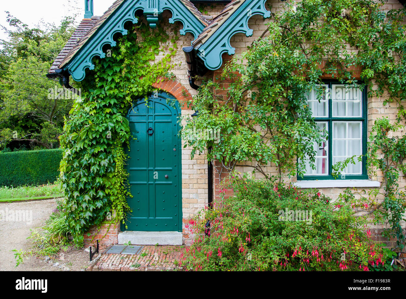 Un vecchio cottage Inglese di edera e liane sulla muratura in mattoni Foto Stock