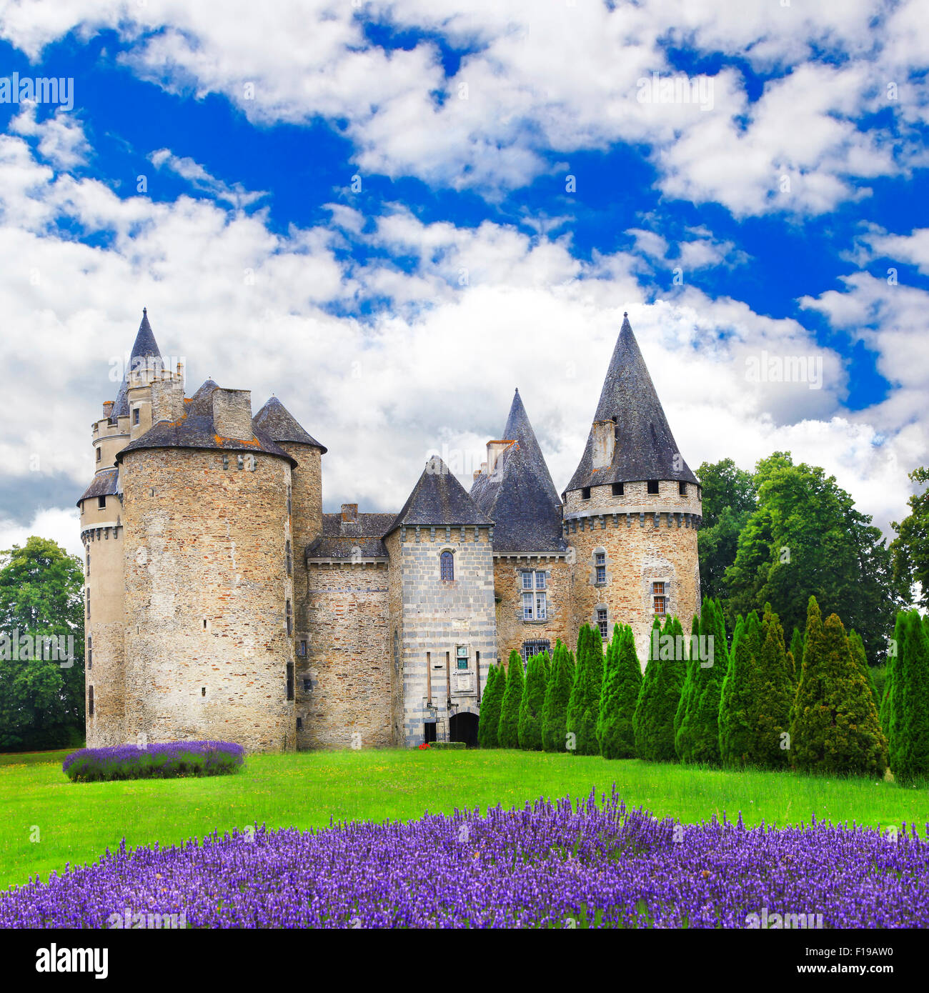 Bei castelli medievali della Francia Foto Stock