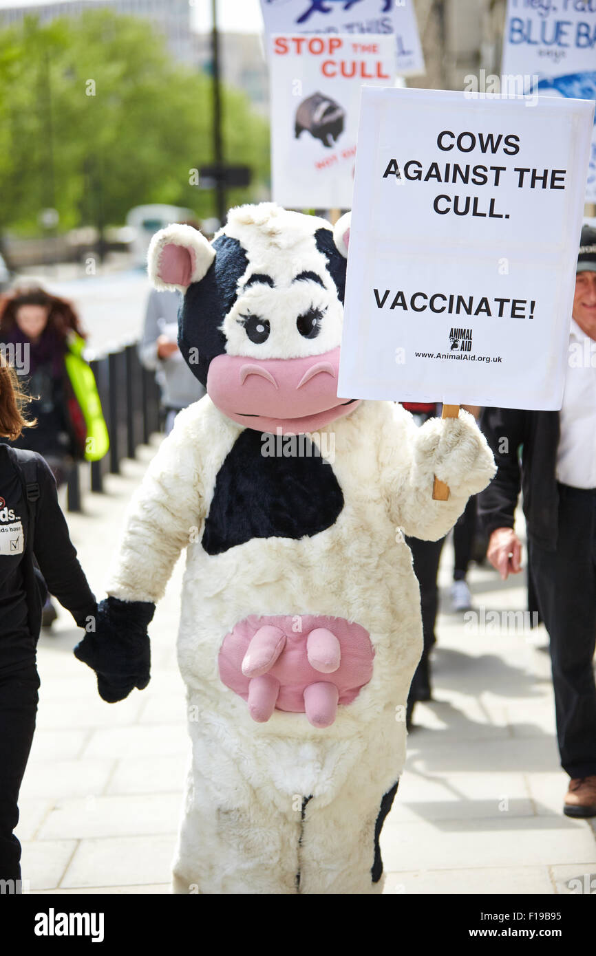 Manifestanti marzo per il DEFRA uffici su Millbank per cercare di fermare la cull di badgers. Foto Stock