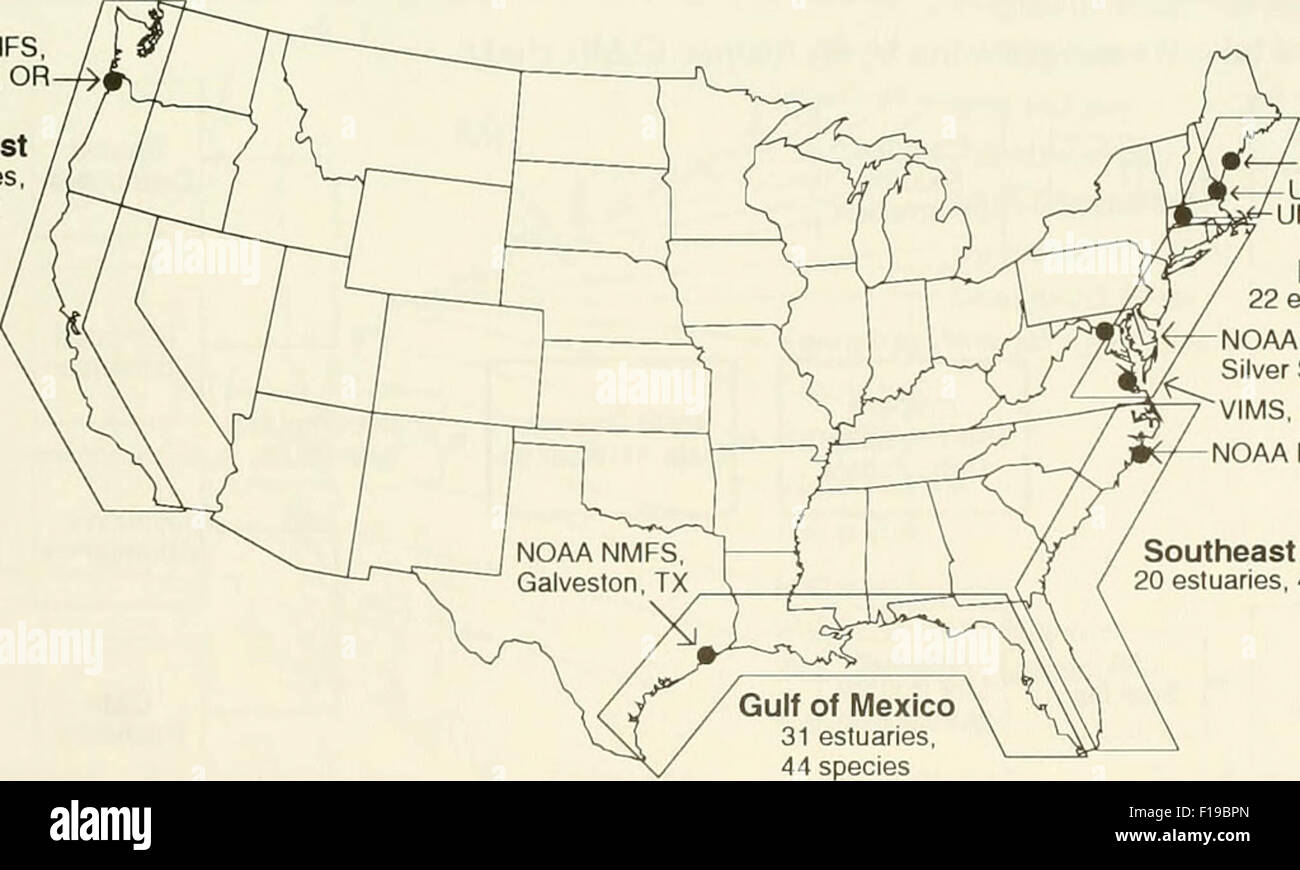 Vecchia mappa Foto Stock