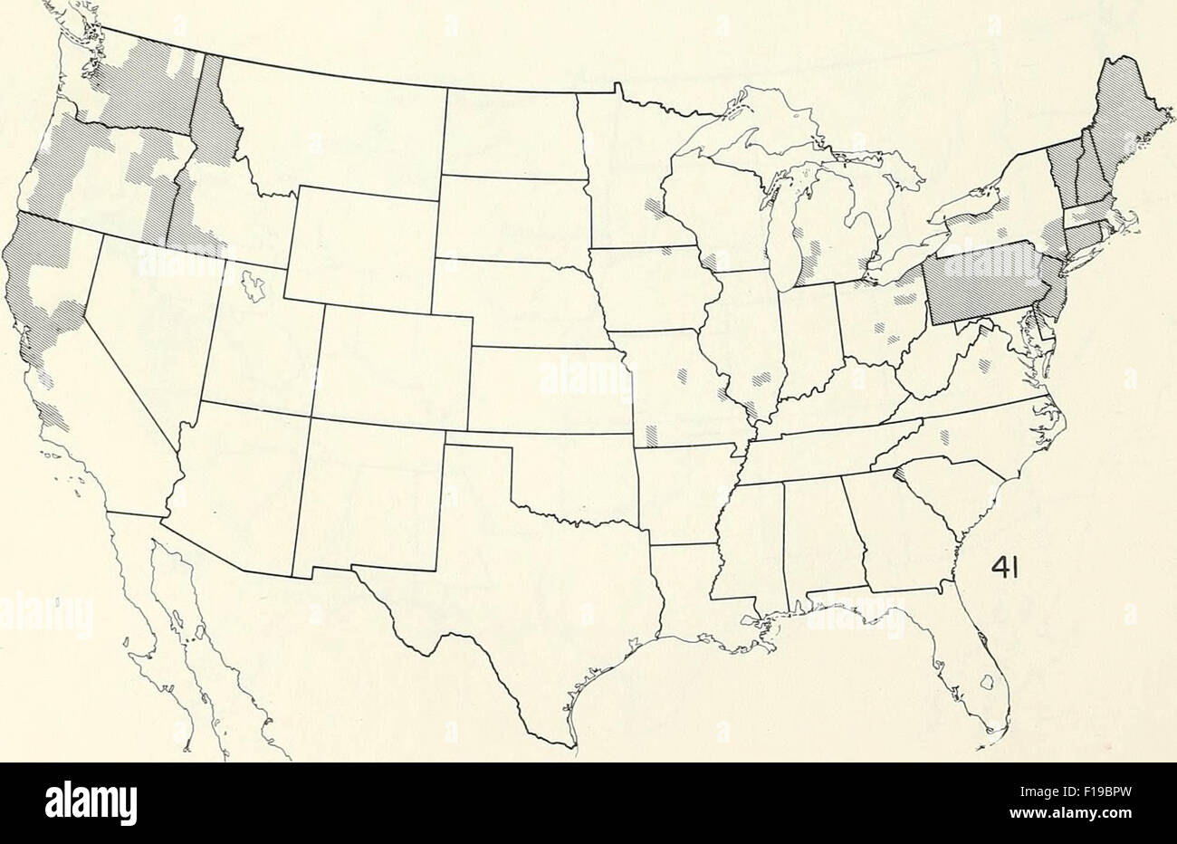 Vecchia mappa americano Foto Stock