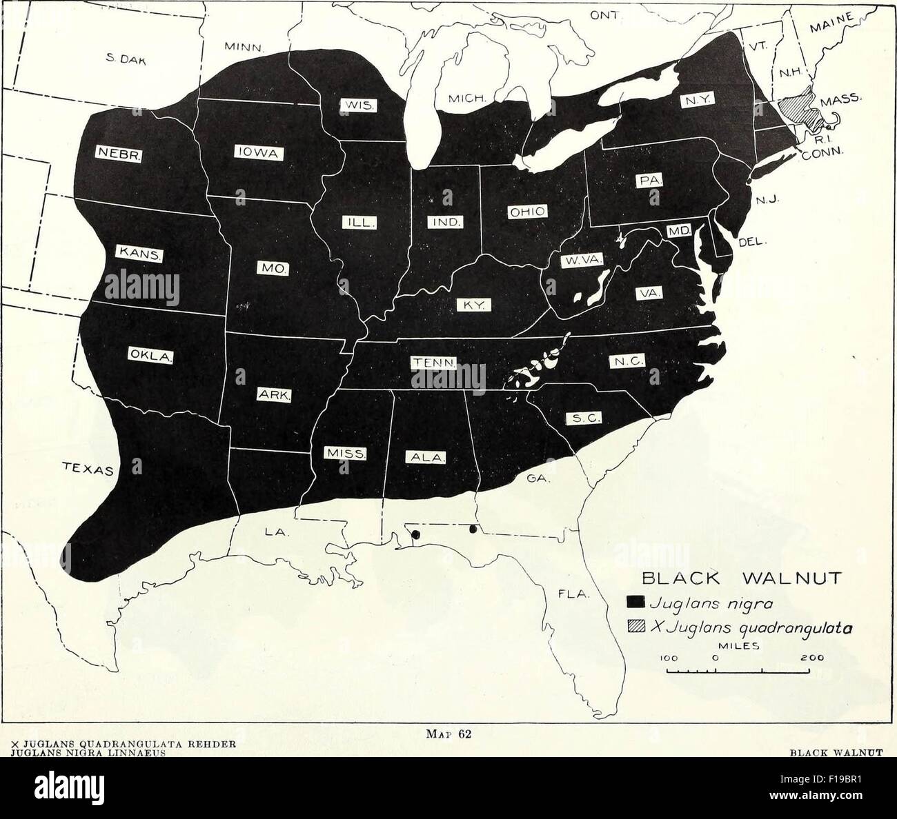 Vecchia mappa americano Foto Stock