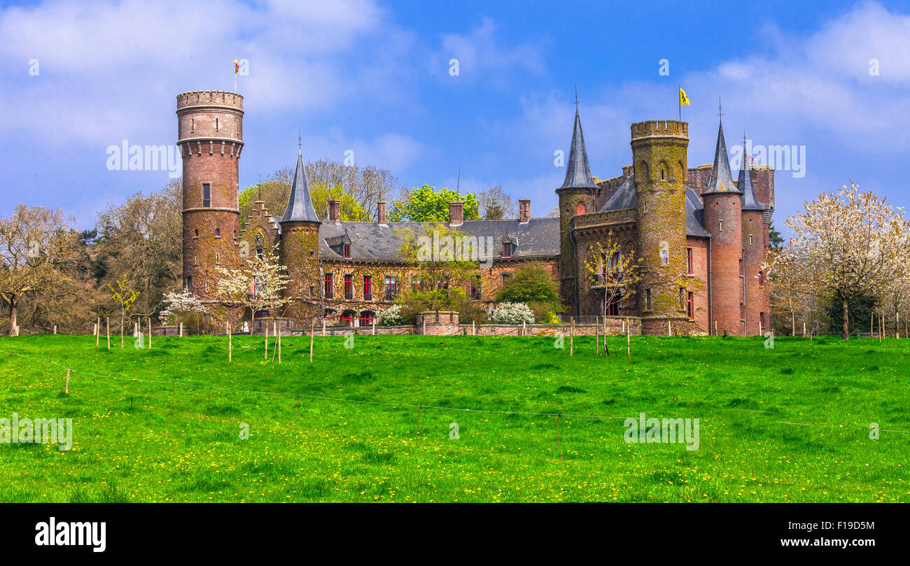 Castelli medievali del Belgio- Wijnedale, Fiandre orientali Foto Stock