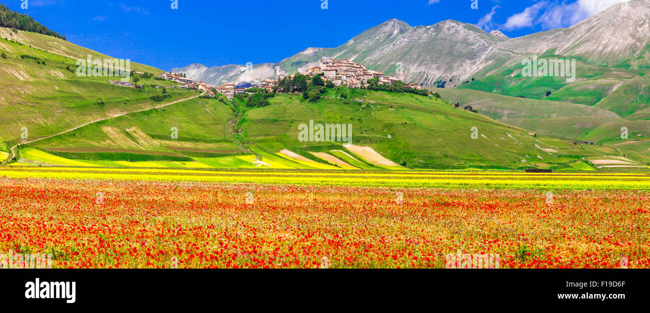I campi in fiore di montagne Sibilini e hill top village Castelluccio di Norcia Foto Stock