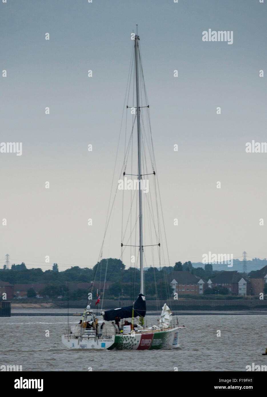 Dartford, Regno Unito. Il 30 agosto, 2015. Team Clippertelemed prendendo parte alla Clipper il giro del mondo in barca a vela passa lungo il fiume Tamigi dopo il QE2 Bridge. Credito: Stephen Bartolomeo/Alamy Live News Foto Stock