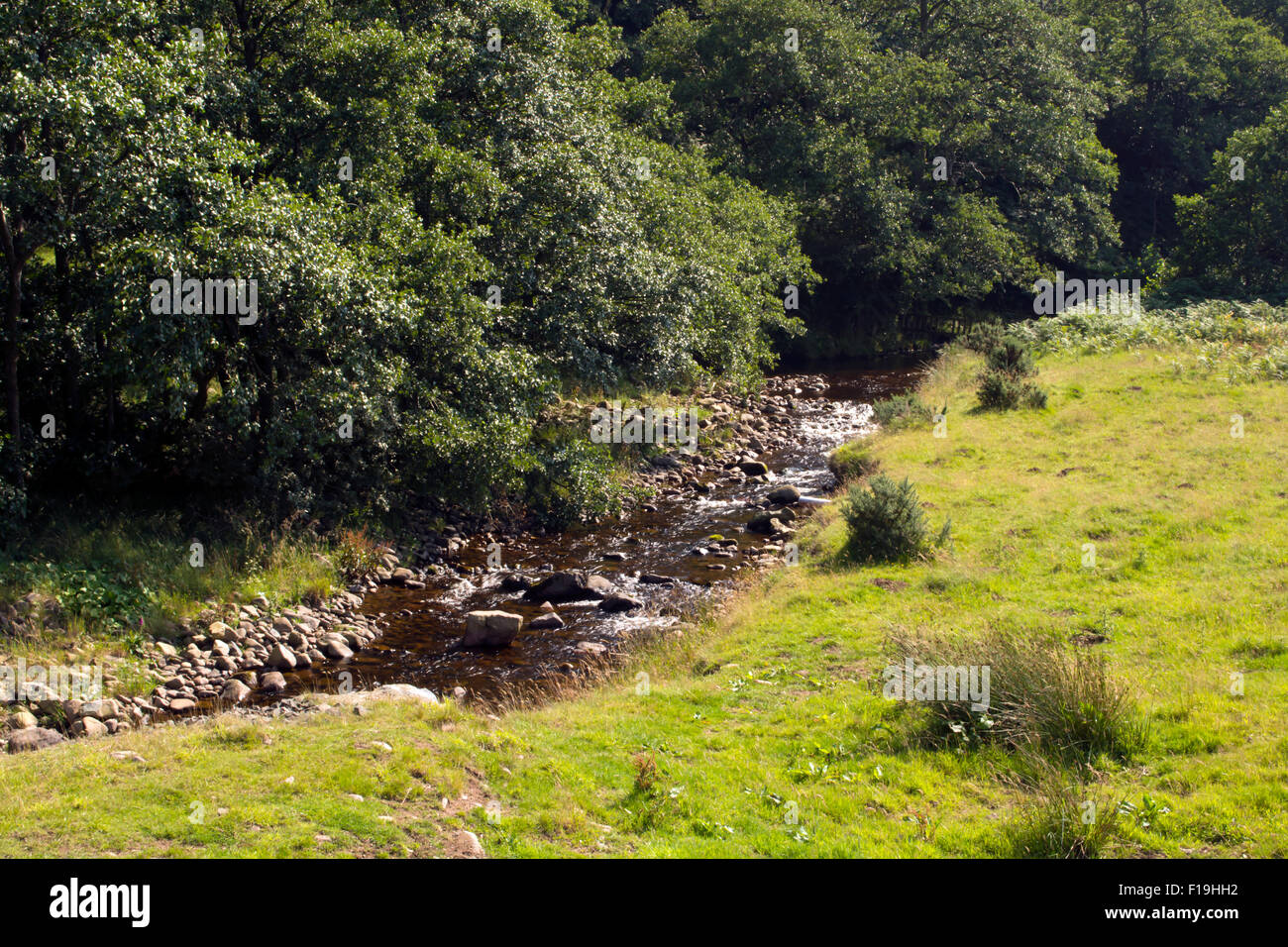 Harthope masterizzare in Valle Harthope , vicino a Wooler, Northumberland NE REGNO UNITO Foto Stock