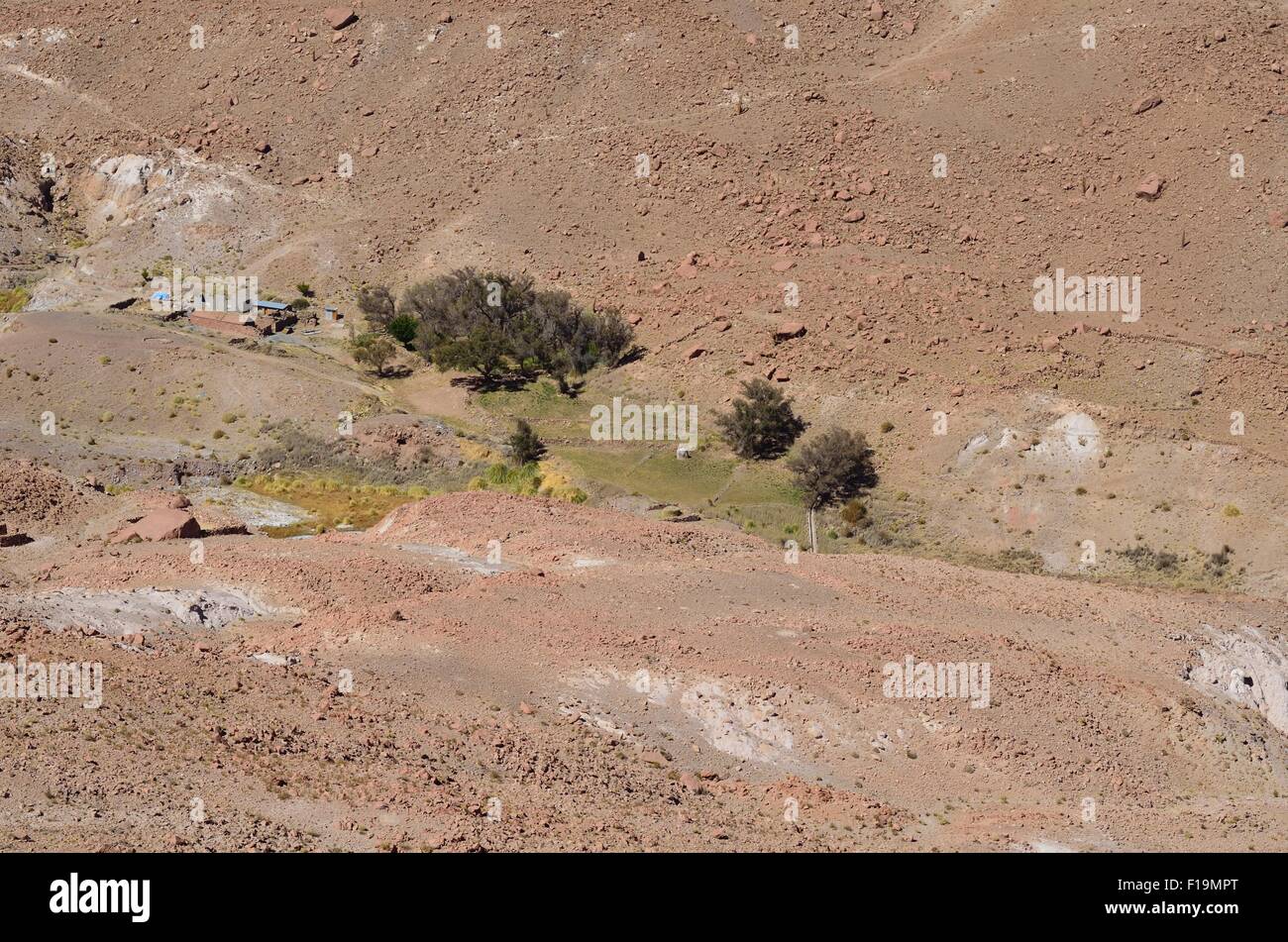 Questa fotografia mostra che non vi è ancora il più arido deserto sul pianeta vita Foto Stock