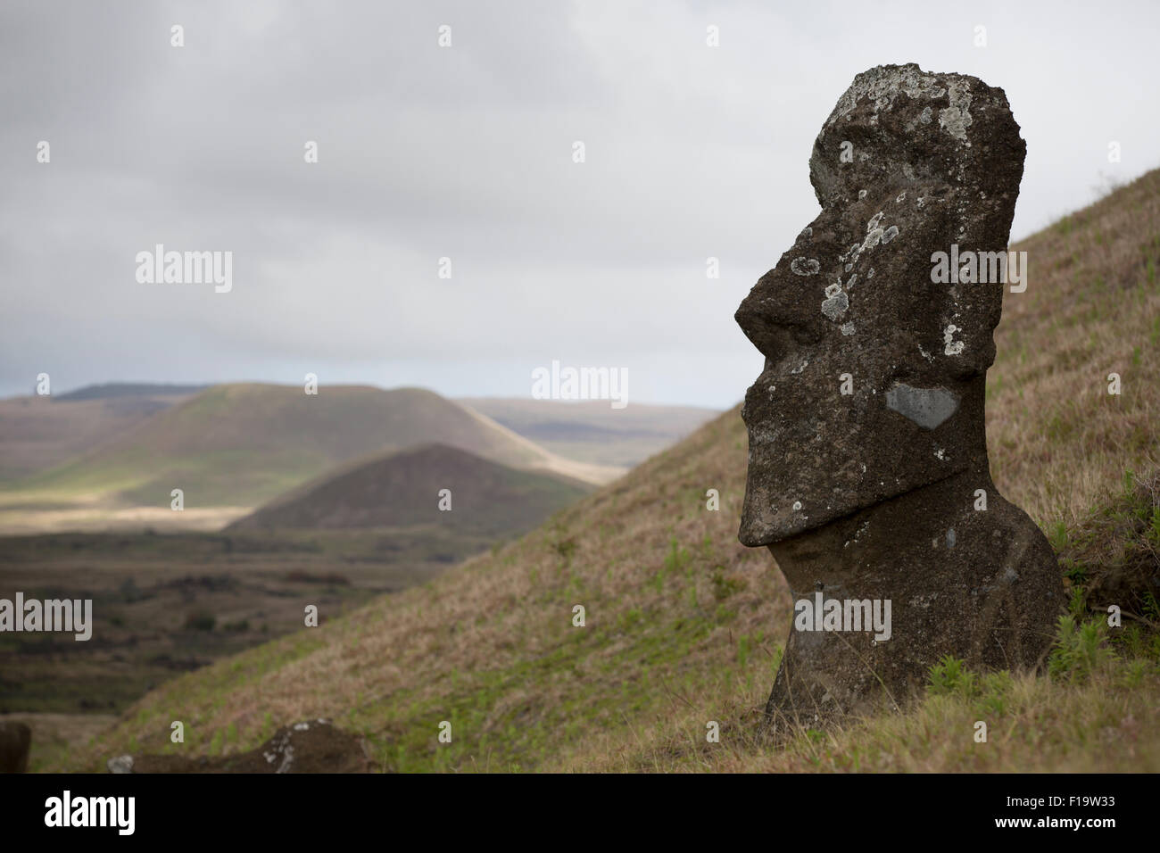 La cava, Rano Raraku, Isola di Pasqua aka Rapa Nui, Cile. Sito storico, collina vulcanica dove moai sono stati scolpiti. Foto Stock