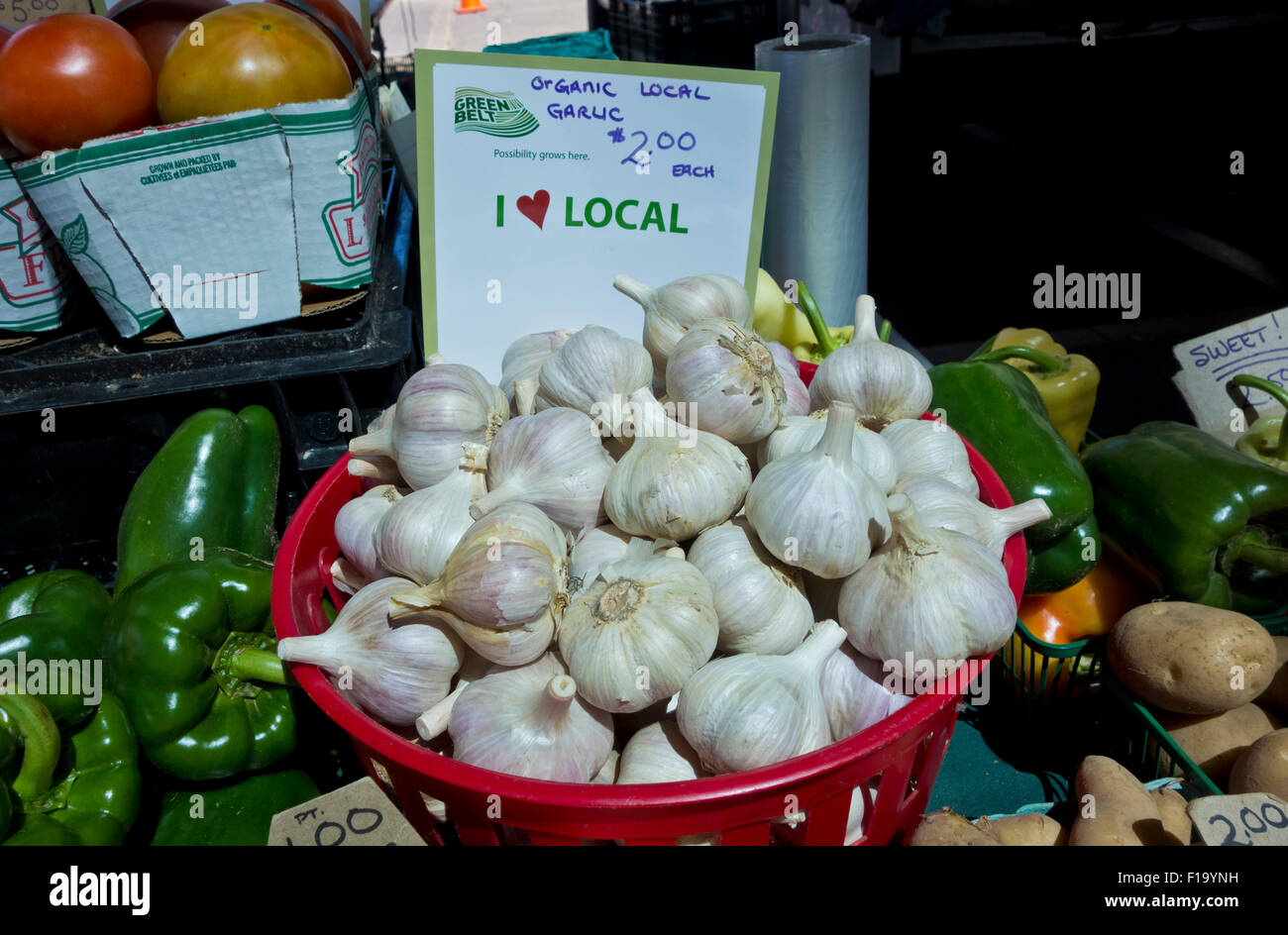 Cesto di fresca aglio organico e altre verdure al centro dell'agricoltore nel mercato San Catharines, Ontario, Canada. Foto Stock