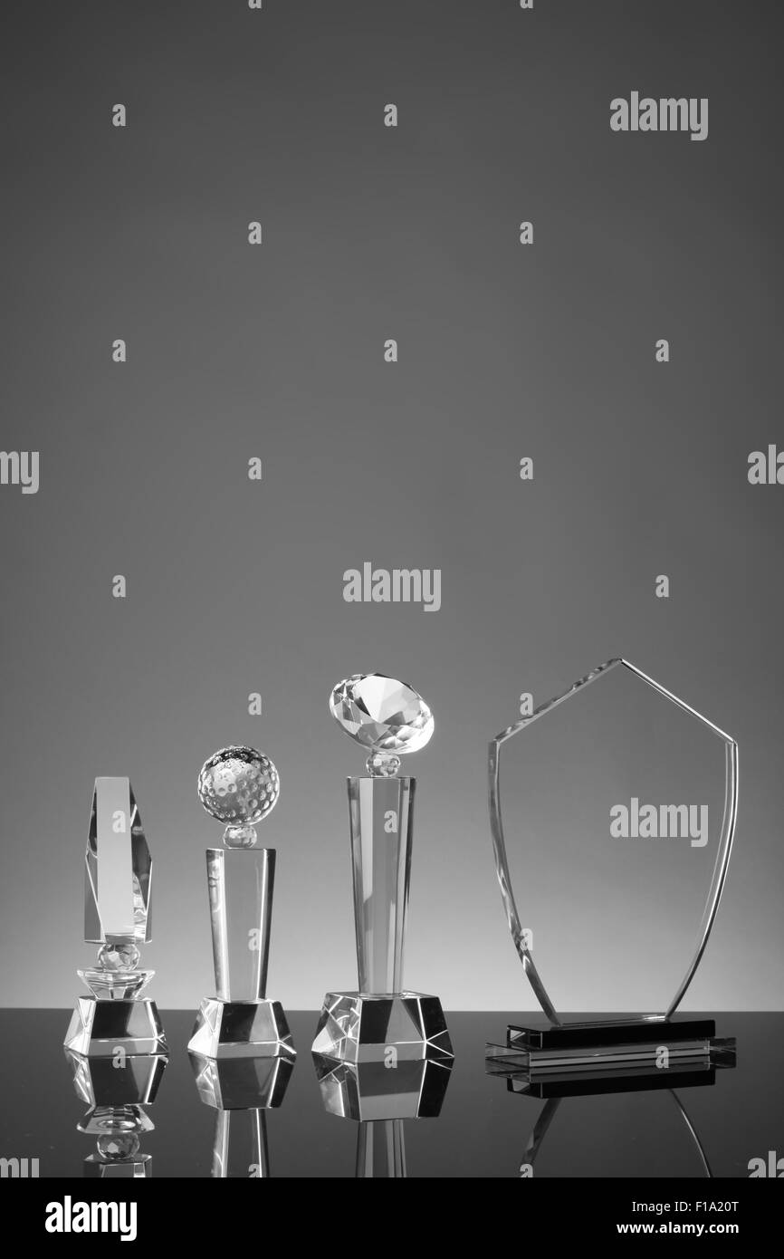 Trofeo di vetro in uno sfondo grigio Foto Stock