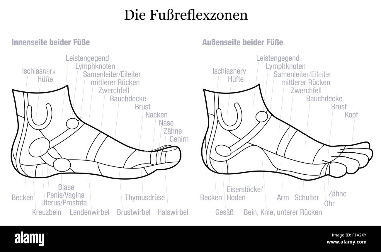 La riflessologia plantare grafico - dentro e fuori vista dei piedi - con la descrizione in lingua tedesca. Foto Stock