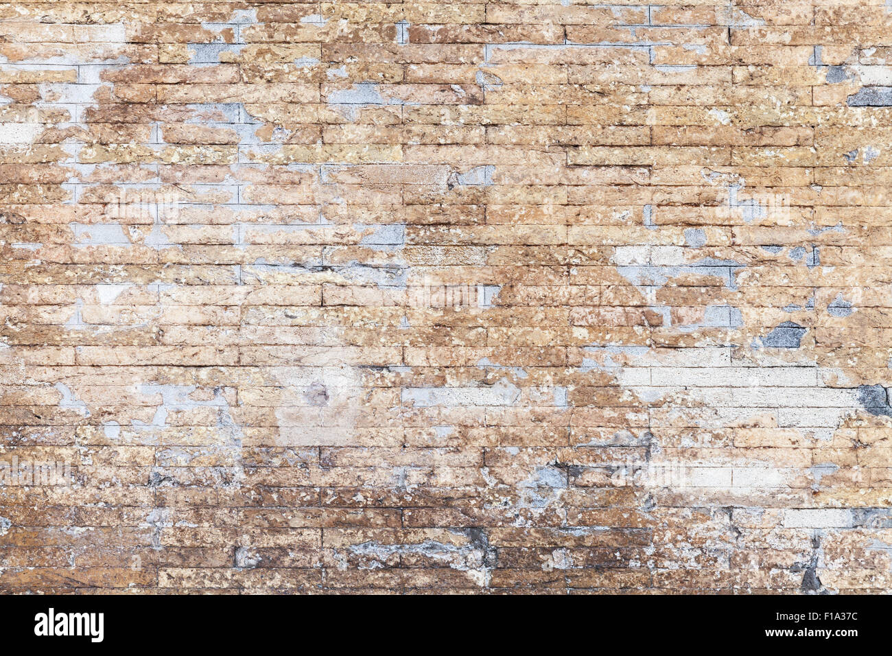 Vecchio grungy giallo muro di mattoni texture di sfondo con danneggiato lo strato di stucco Foto Stock