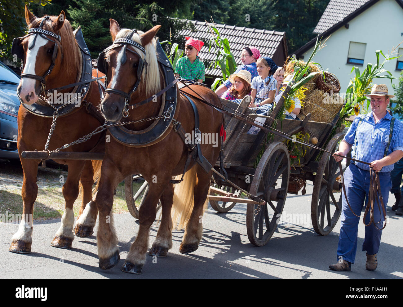 I partecipanti del cerimoniale di agire per la ricorrenza del settecentesimo anniversario della comune Burg guidare un cavallo carrello per caso a Burg, Germania, 30 agosto 2015. Alcune teorie credere primi insediamenti furono stabiliti a Burg nel 4000 BC, ma un documento dell'anno 1315 segna il compleanno ufficiale della città. Foto: Patrick Pleul/dpa Foto Stock