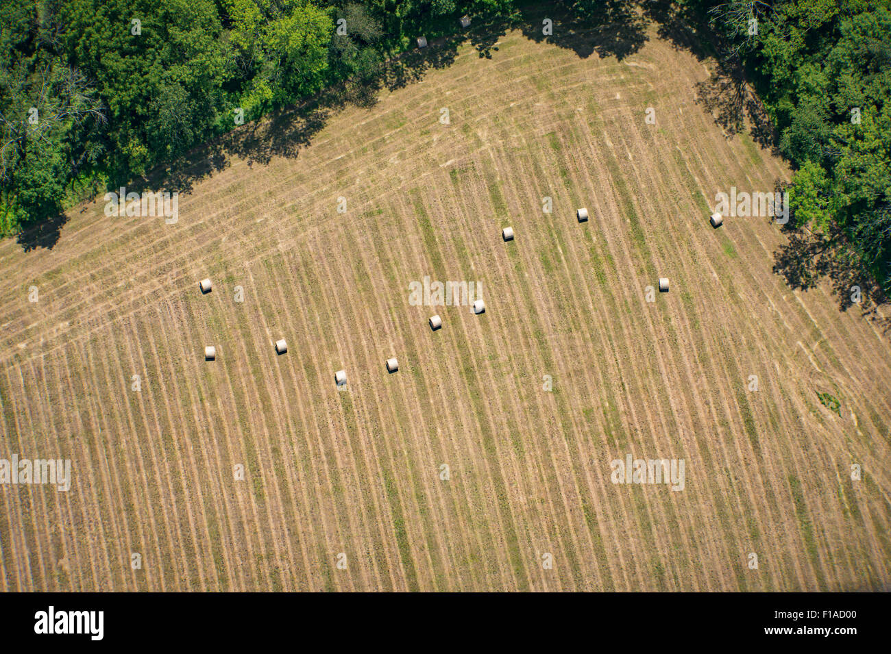 Vista aerea del Raccolto del Campo di fieno Foto Stock
