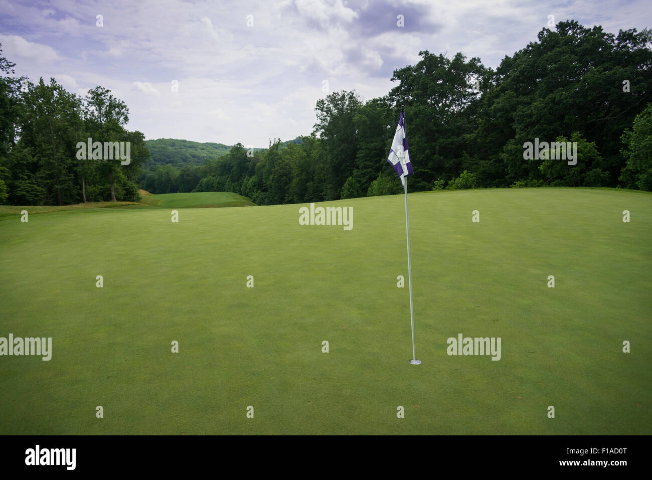 Campo da golf con verde bandiera Foto Stock