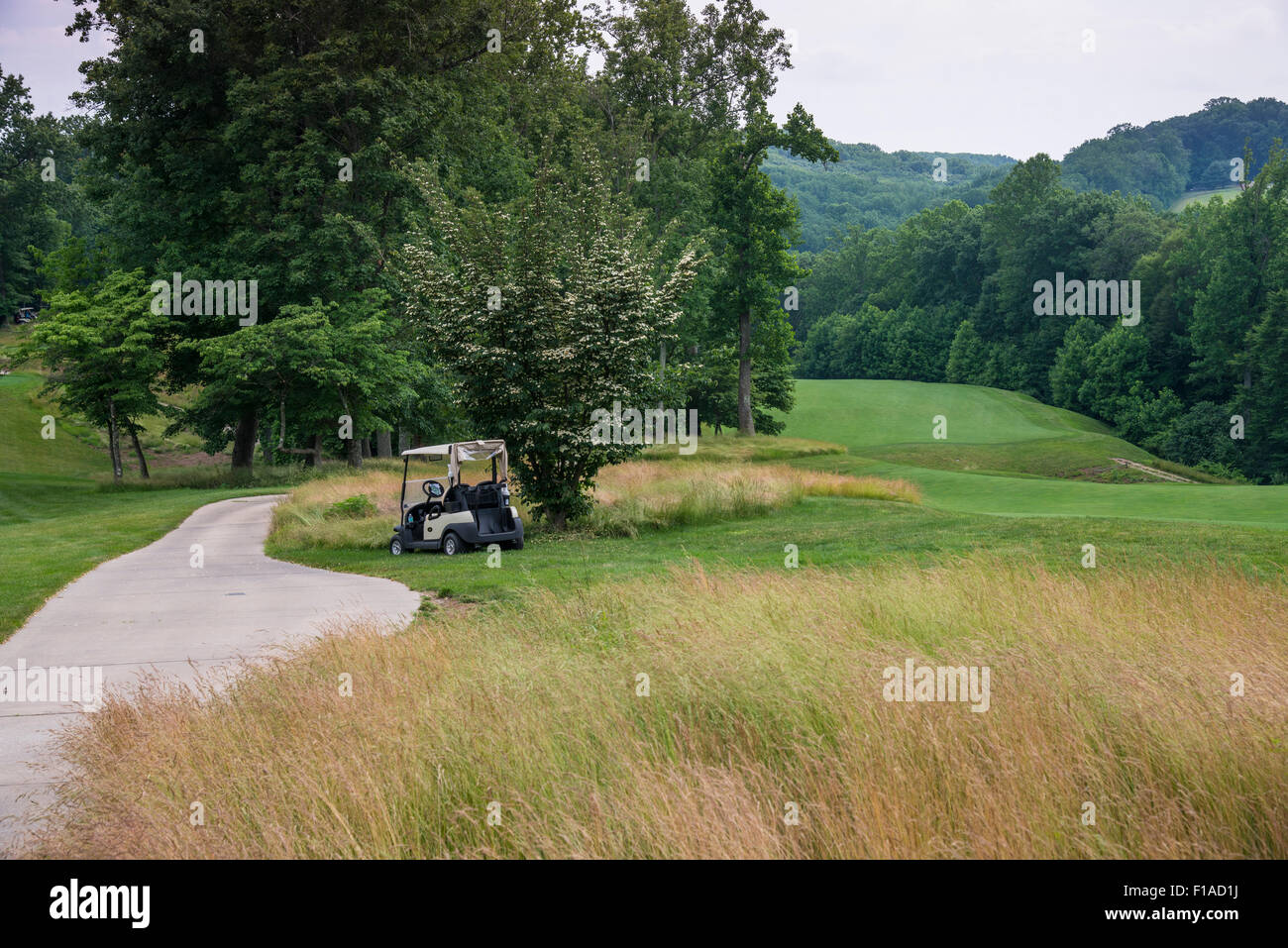 Carrello da golf sul lato del campo da golf fairway Foto Stock