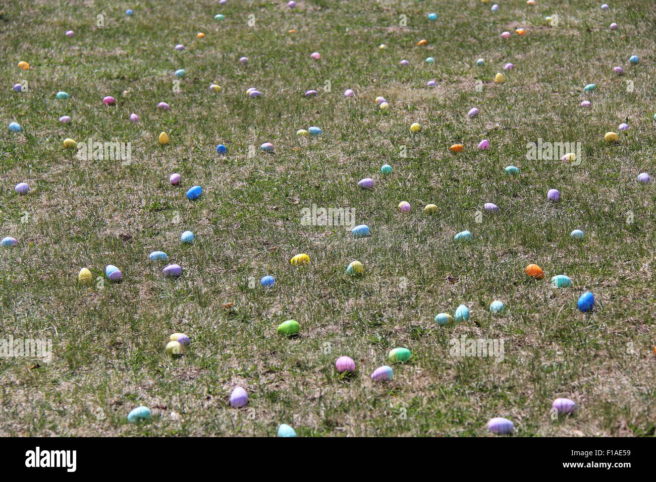 Settore delle uova di Pasqua. Foto Stock