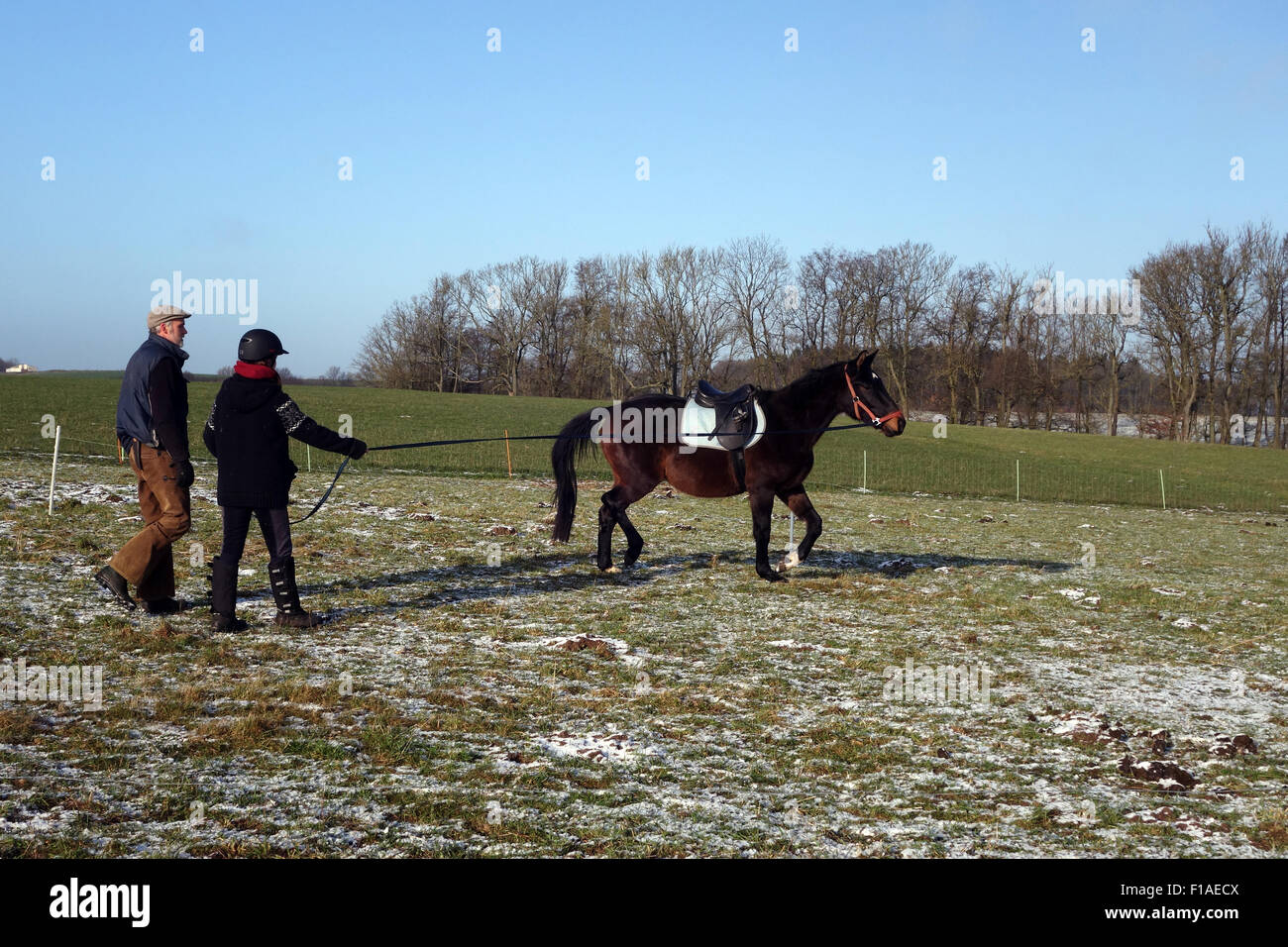 Nuovo Kätwin, Germania, ragazza lunged sotto la supervisione di un istruttore, i suoi cavalli sellati Foto Stock