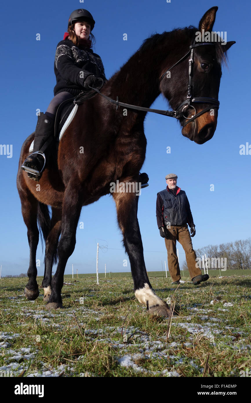 Nuovo Kätwin, Germania, Symbolfoto, lezioni di equitazione Foto Stock