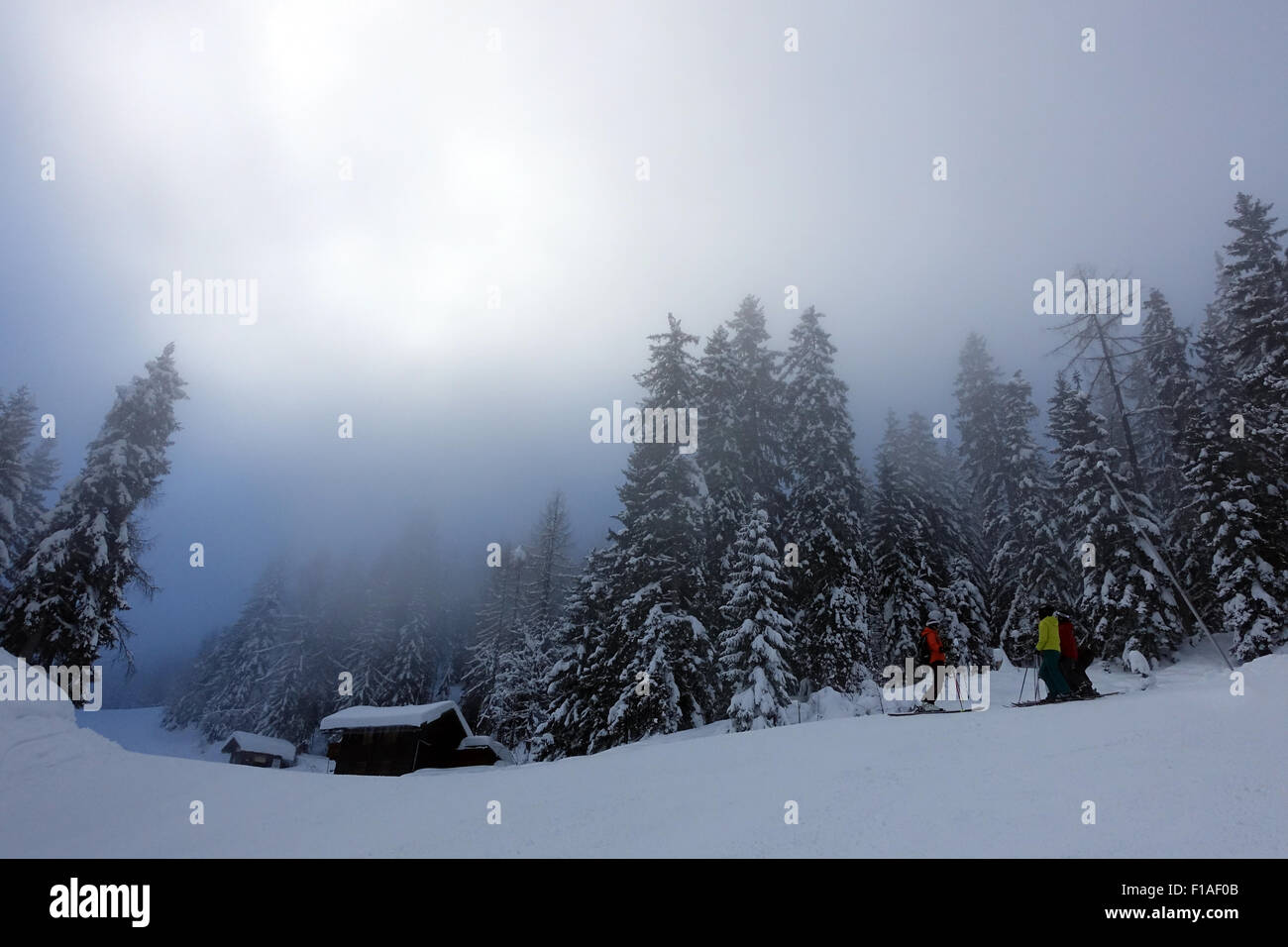 Krippenbrunn, Austria, paesaggio innevato con high fog Foto Stock