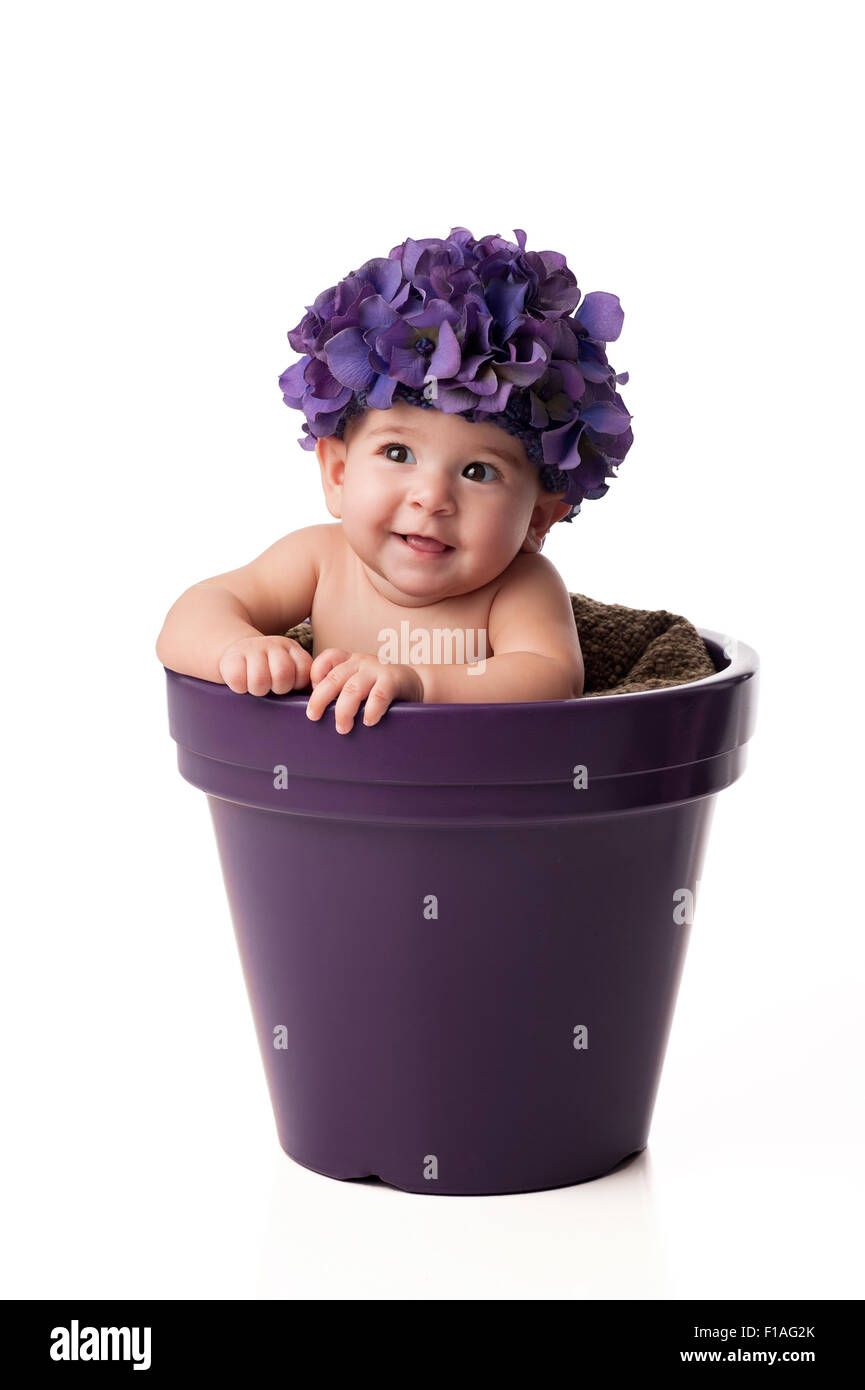 Un sorridente bambino di 6 mesi la ragazza che indossa un viola, fiore ortensie hat e seduti in un imporpori fiore pot. Girato in studio su Foto Stock