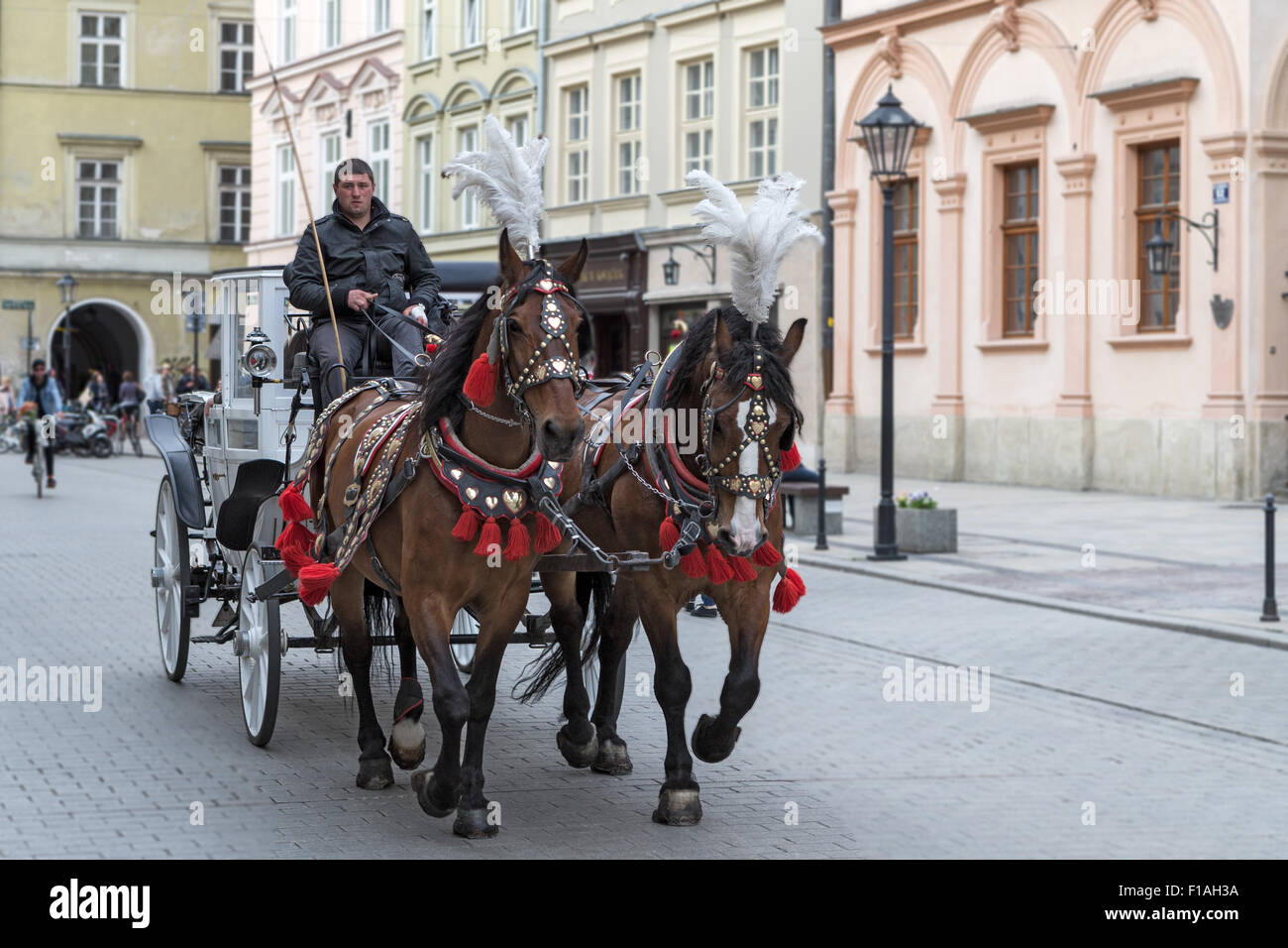 Cavallo e carrozza, via Grodzka, Cracovia, Polonia Foto Stock