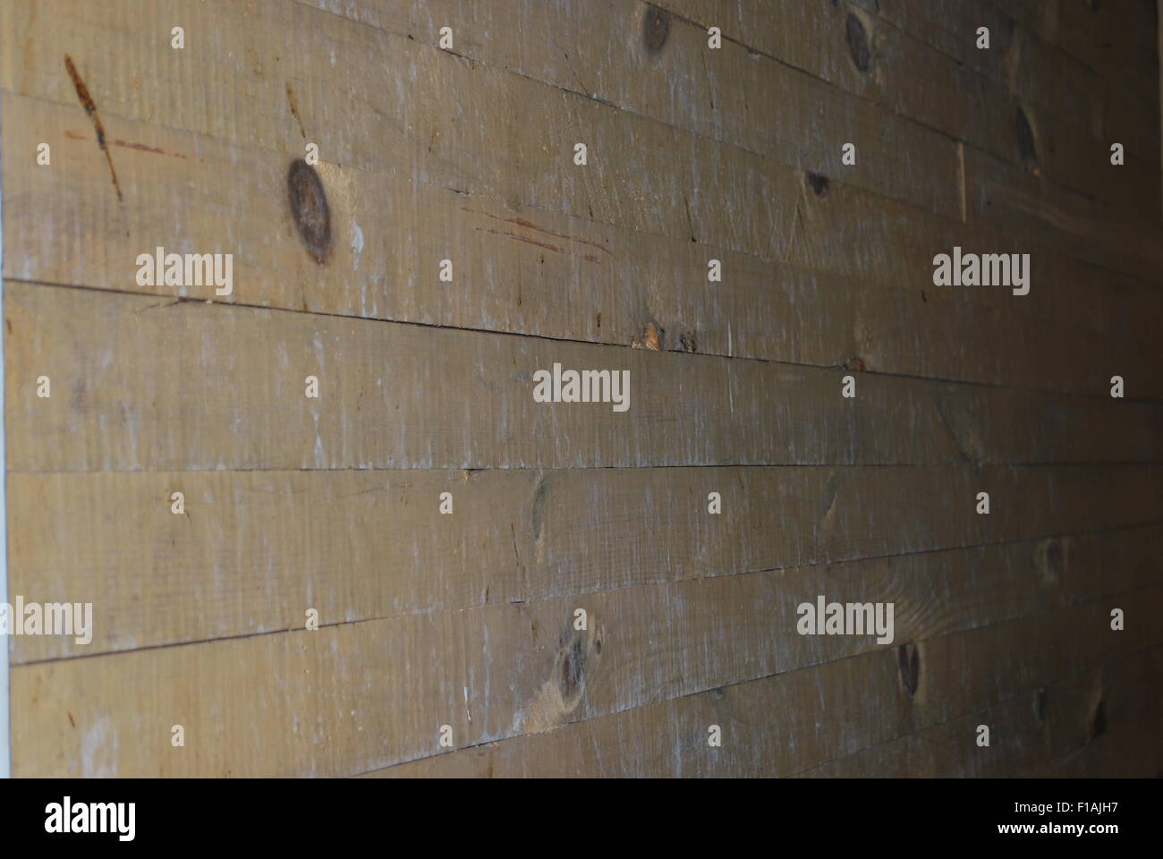 Un primo piano della vecchia tavole boschive Foto Stock