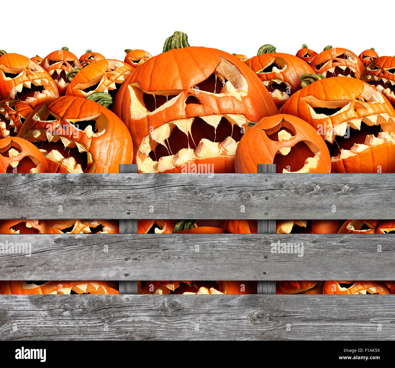 Zucca di Halloween raccolta come un gruppo di spaventoso jackolantern scolpite dei mostri in una scatola di legno o fattoria bin come un concetto e simbolo di un inquietante la pubblicità e la commercializzazione annuncio per un momento per la mietitura delle parti. Foto Stock