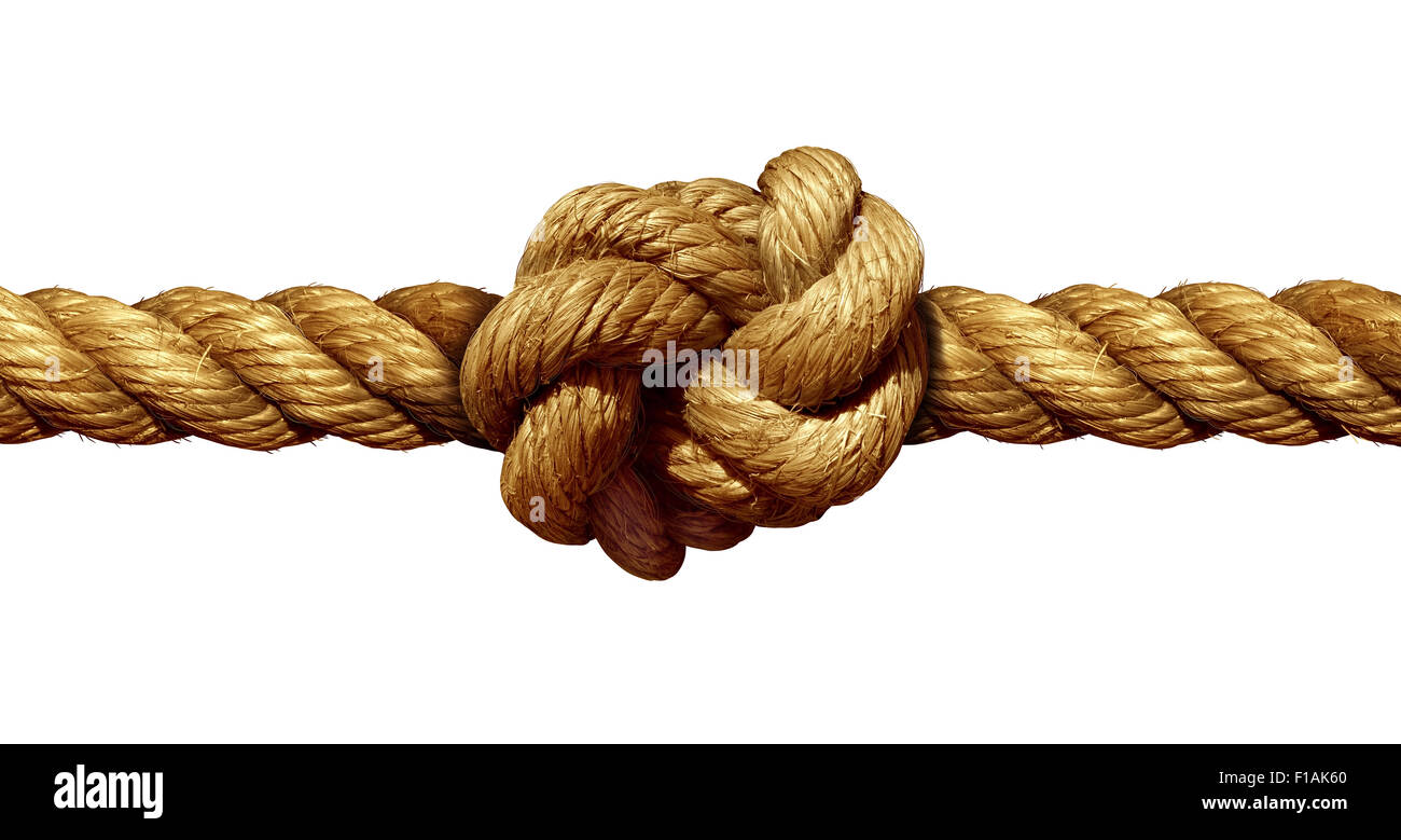 Corda nodo isolato su uno sfondo bianco come un forte nautico linea marine legate insieme come un simbolo di fiducia e di fede e una metafora per forza o stress. Foto Stock