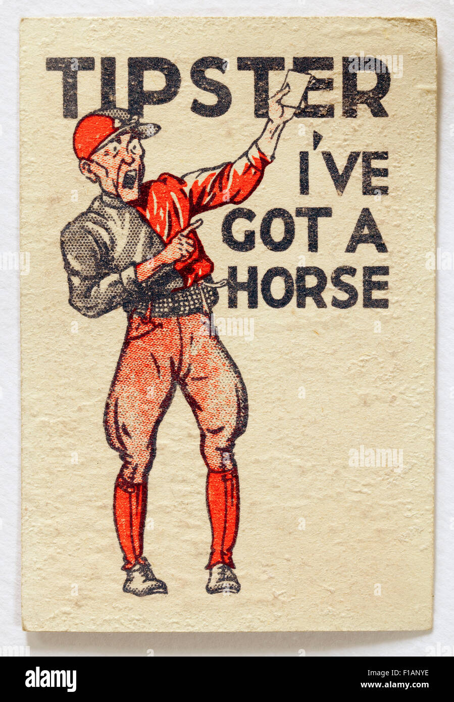 Tipster da Baccardo Horse Racing Game Pack Foto Stock