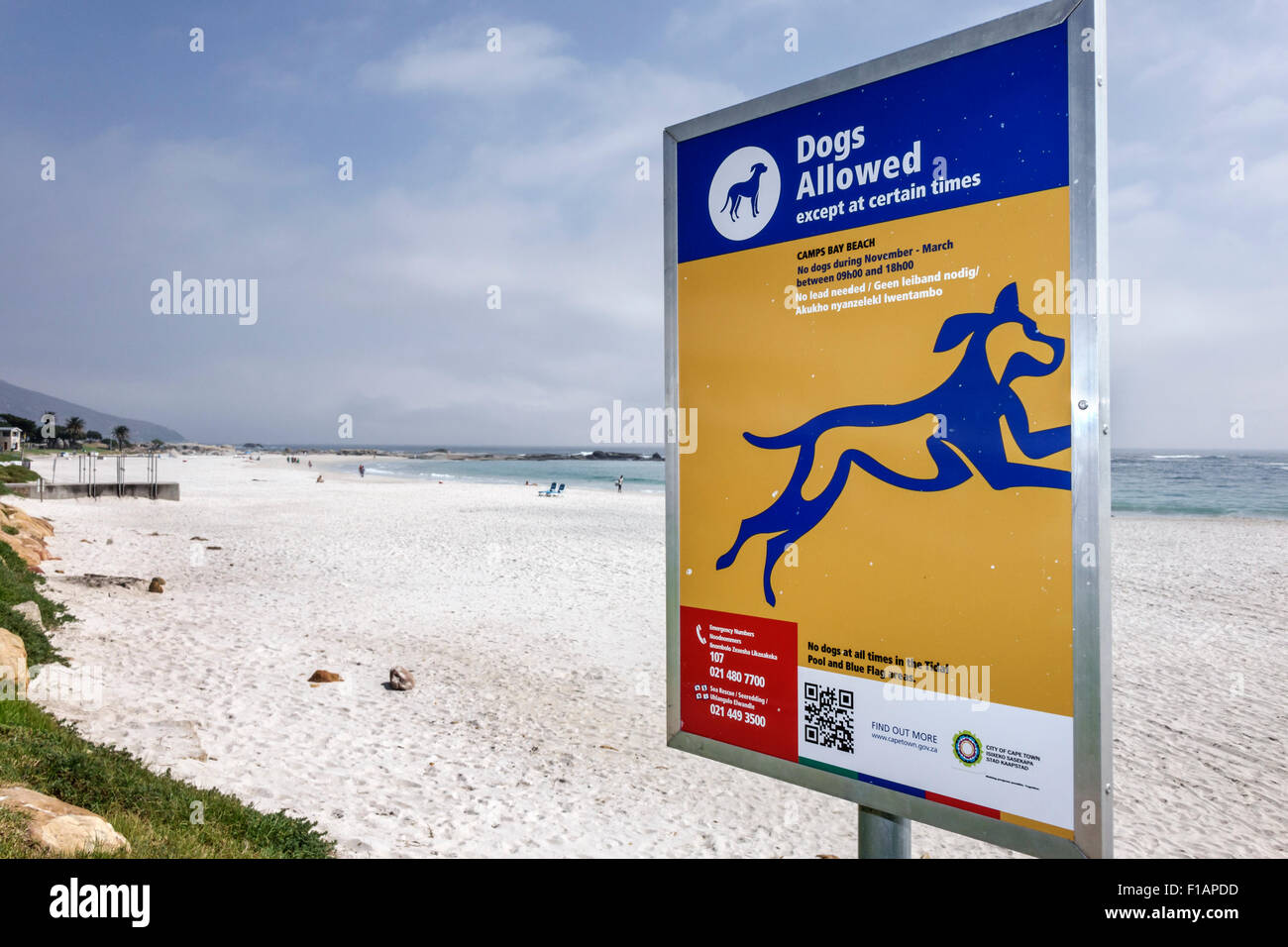 Città del Capo Sud Africa, Camps Bay, Victoria Road, spiaggia pubblica, cartello, cani ammessi, codice QR codice a barre, Oceano Atlantico, SAfri150312035 Foto Stock