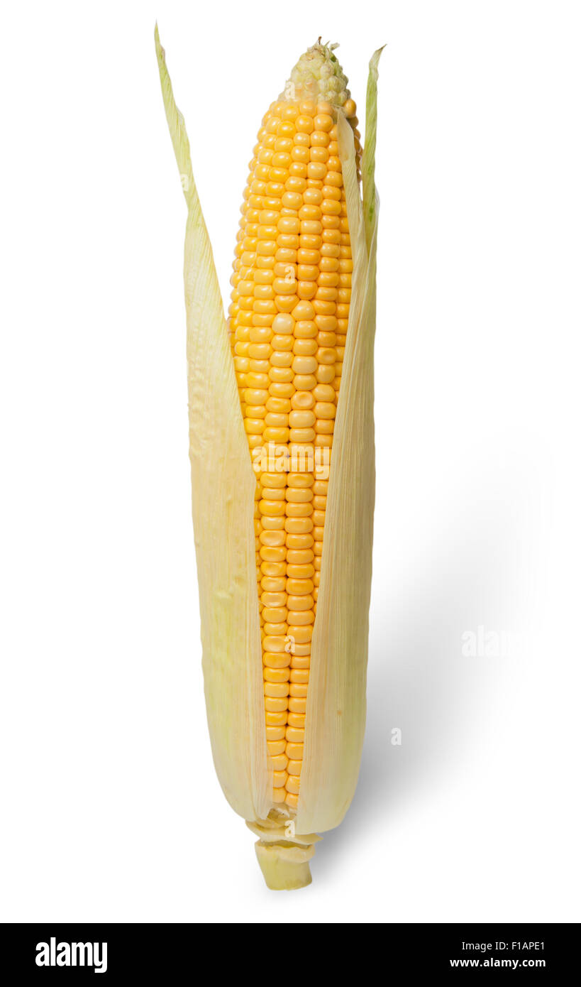 Orecchio purificato di mais con foglie isolati su sfondo bianco Foto Stock