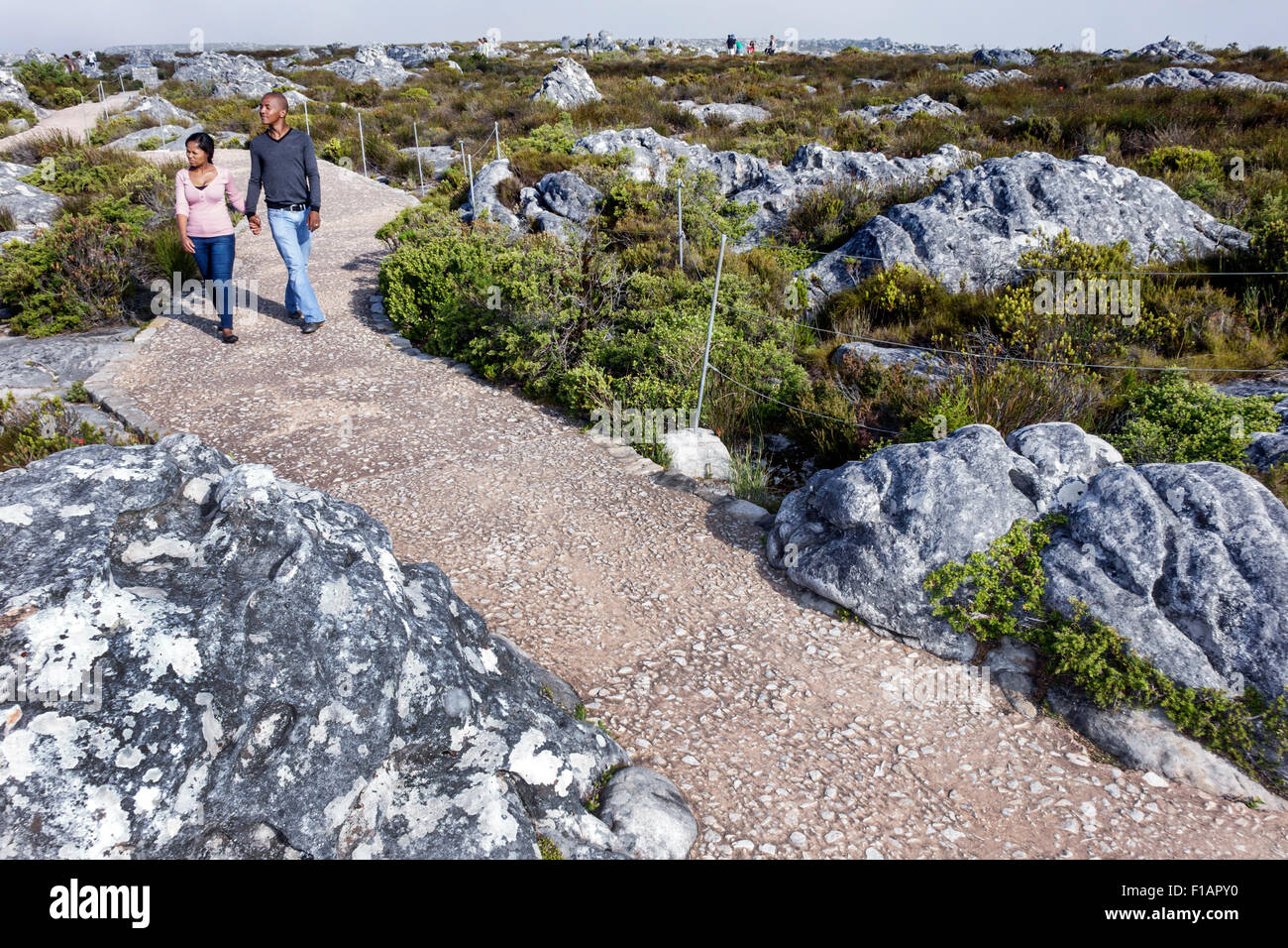 Città del Capo Sud Africa,Table Mountain National Park,riserva naturale,top,escursioni,sentiero,escursionisti,escursioni,Black Afro American,uomo uomini maschio,donna donne, Foto Stock