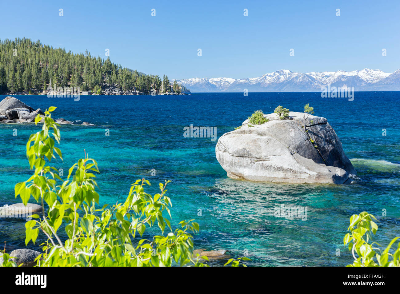 Bonsai, Rock Lake Tahoe, Nevada (con la California Sierra Nevada in background). Foto Stock
