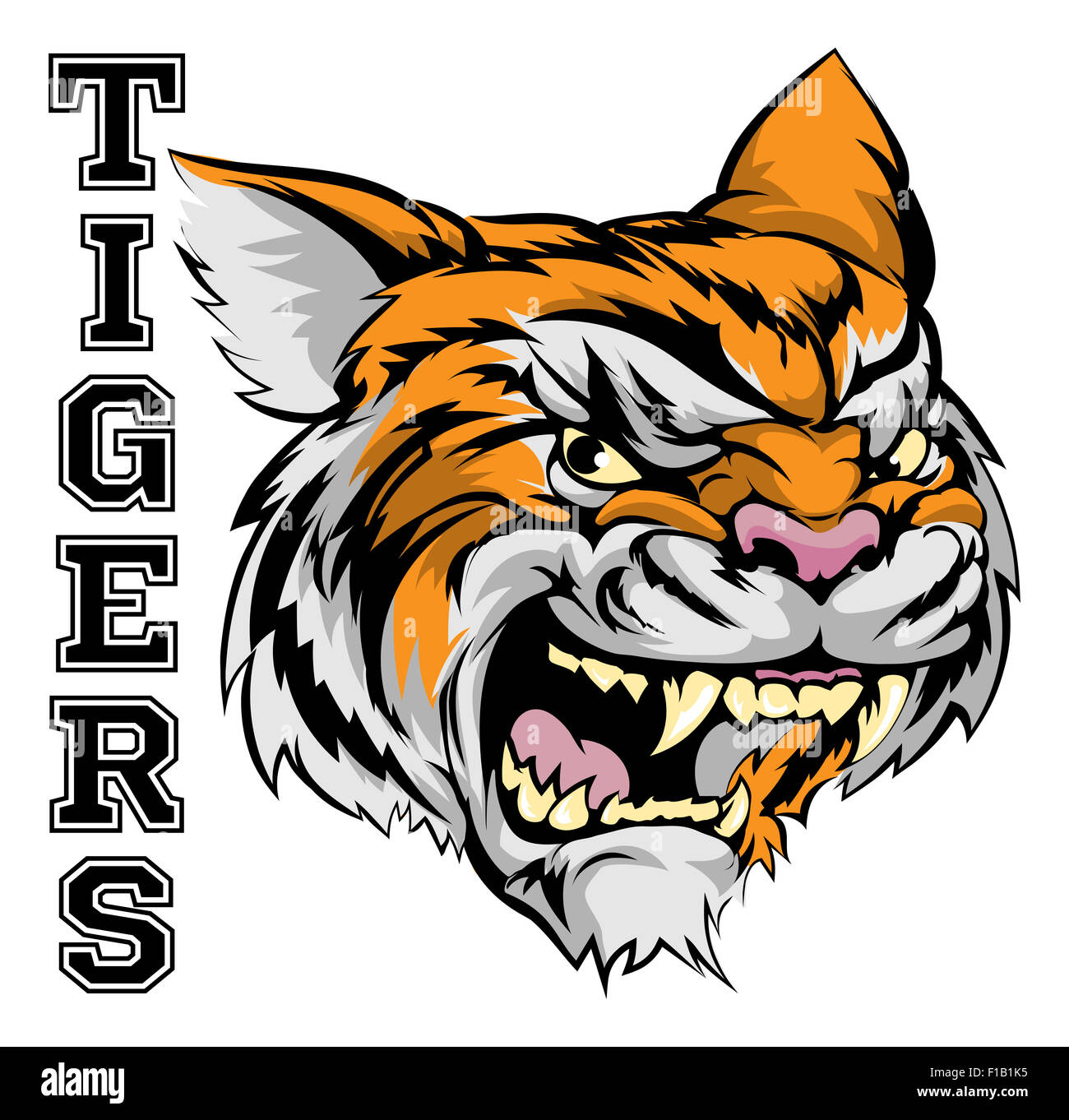 Una illustrazione di una tigre mascotte sportive testa con la parola tigri Foto Stock