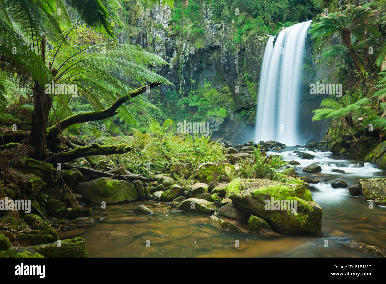 Cascata in una lussureggiante foresta pluviale. Fotografato alla Hopetoun rientra nella Grande Otway National Park in Victoria, Australia. Foto Stock