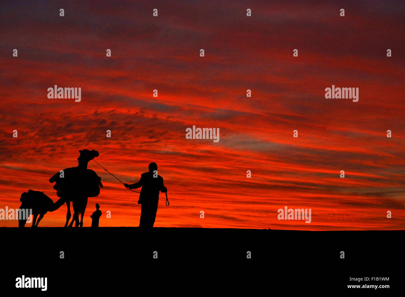 Blazing deserto rosso tramonto. Foto Stock