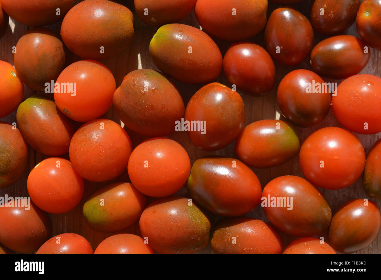 Due tipi di piccoli mature, pomodori rossi. Uva e pomodoro ciliegino. Foto Stock